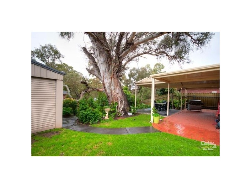 8 Petrel Court, Flagstaff Hill SA 5159