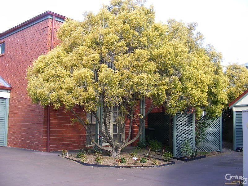 4/2 Maple Avenue, Clovelly Park SA 5042