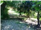 115 Main Road, Glenalta SA 5052