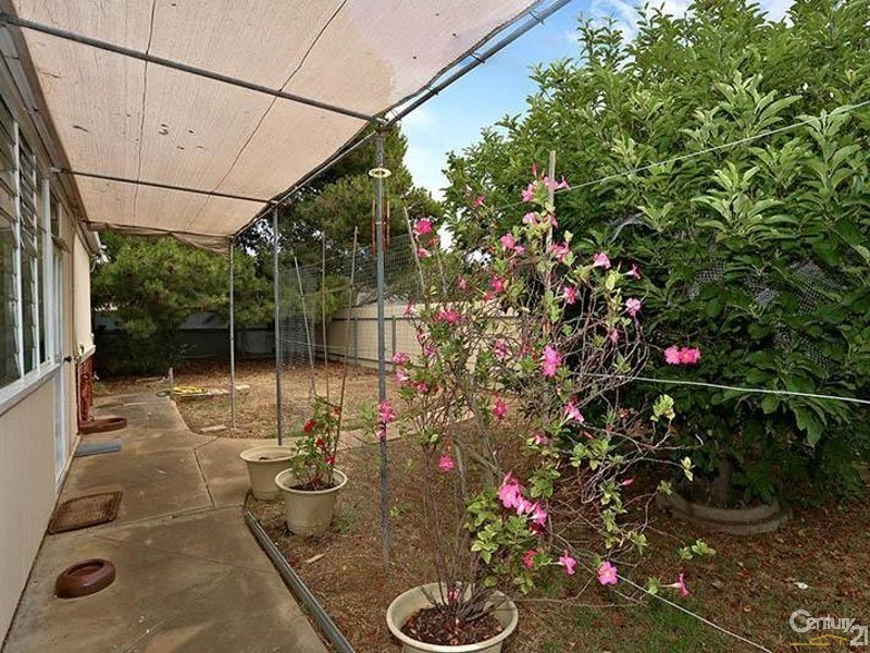 19 Kearnes Road, Oaklands Park SA 5046
