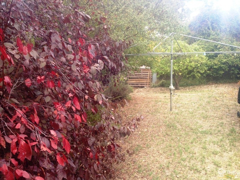 115B Main Road, Glenalta SA 5052