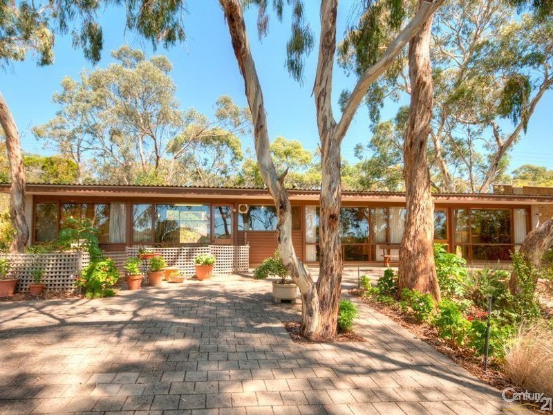 123 Sheoak Road, Belair SA 5052
