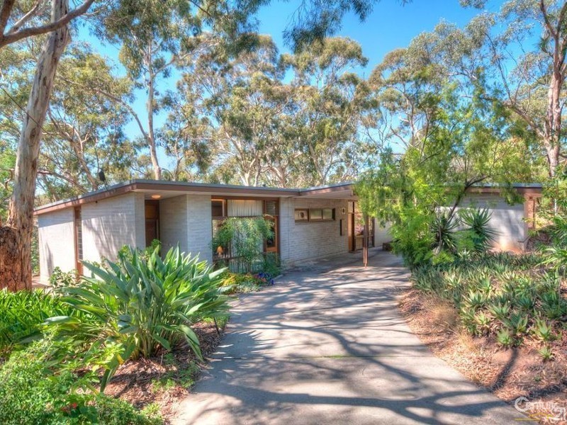 123 Sheoak Road, Belair SA 5052