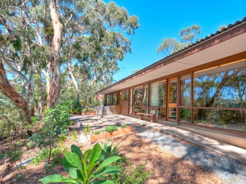 123 Sheoak Road, Belair SA 5052