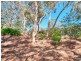 123 Sheoak Road, Belair SA 5052