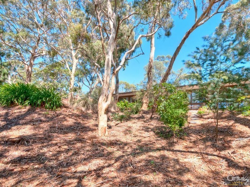123 Sheoak Road, Belair SA 5052