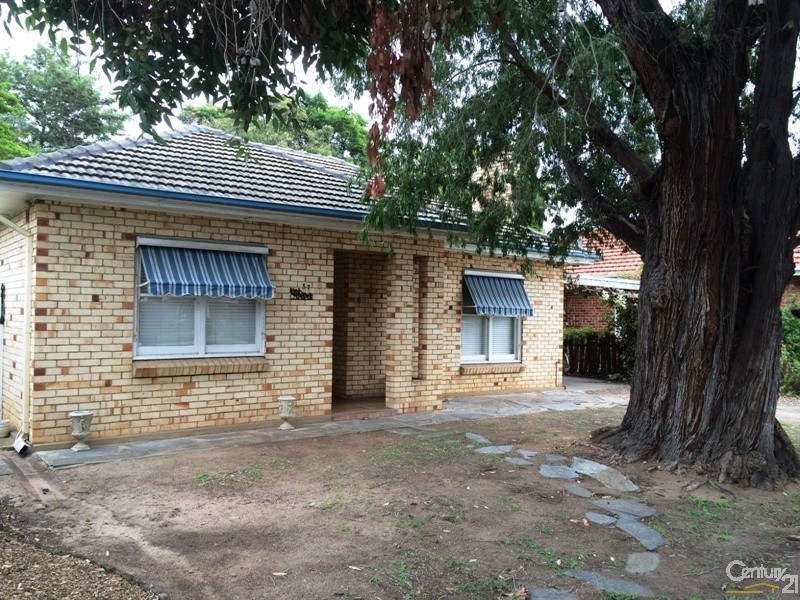 57 Pine Avenue, Glenelg North SA 5045