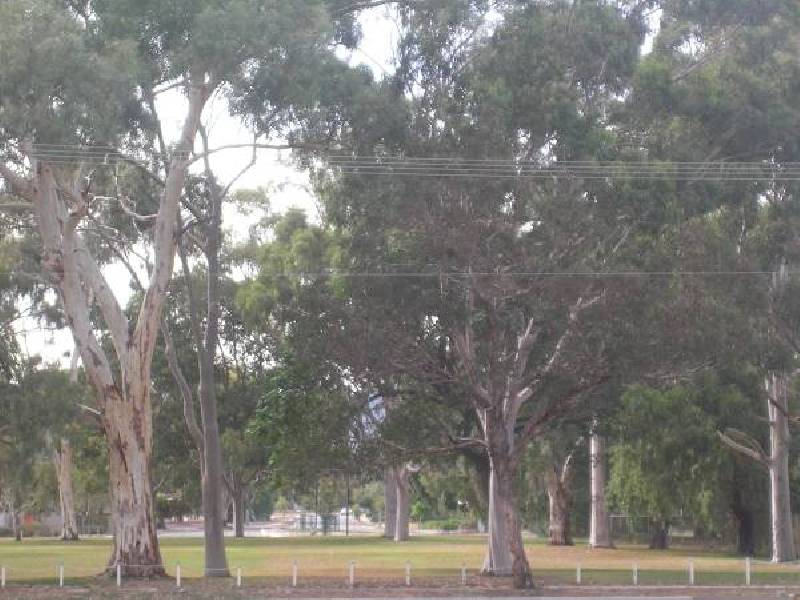 2 Shetland Avenue, Marion SA 5043