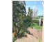 4 Palomino Place, Hackham SA 5163