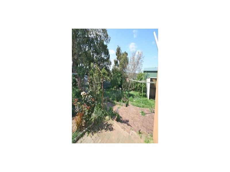 4 Palomino Place, Hackham SA 5163