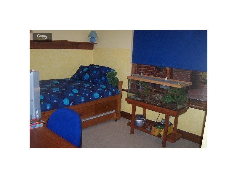 17 Lusitano Court, Woodcroft SA 5162