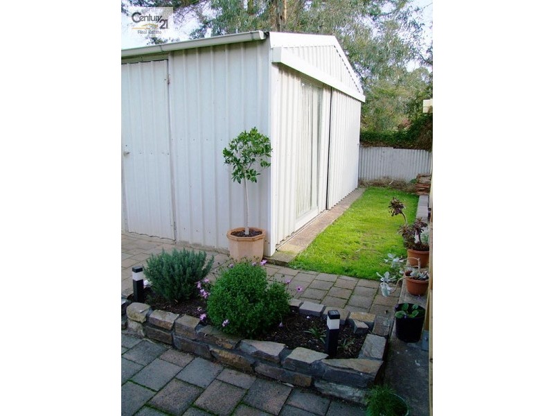 11 Medina Street, Aberfoyle Park SA 5159