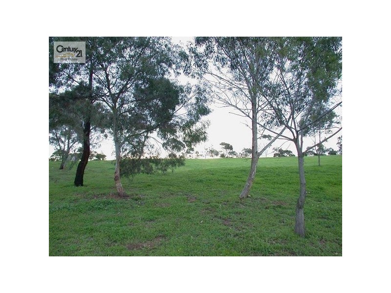 10 Lismore Crescent, Huntfield Heights SA 5163