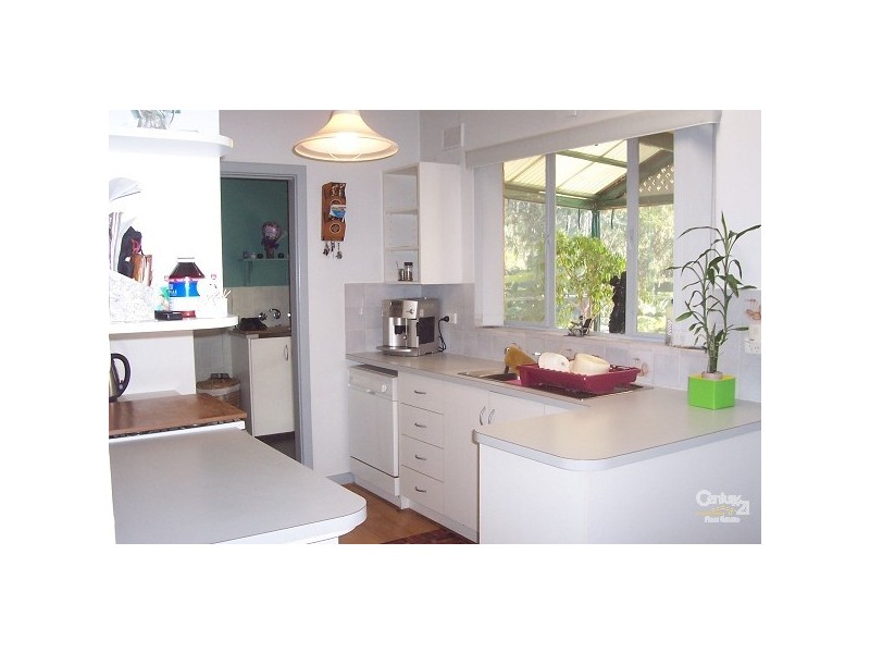 51 Pimpala Road, Old Reynella SA 5161