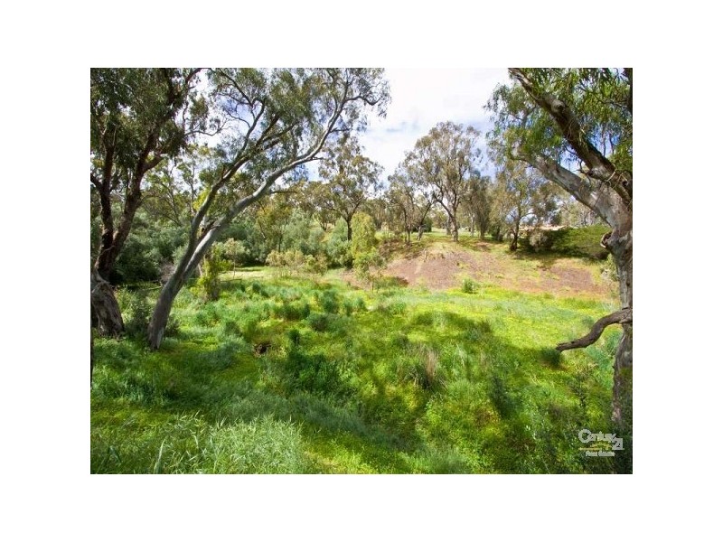 8 Elmwood Court, Onkaparinga Hills SA 5163