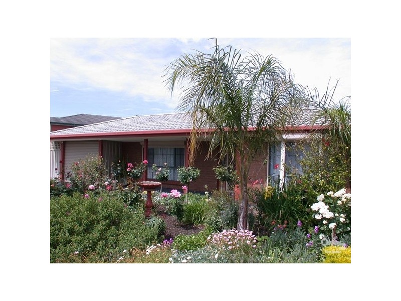 3 Alder Drive, Seaford SA 5169