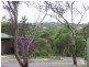 Lot 101 Palomino Place, Hackham SA 5163