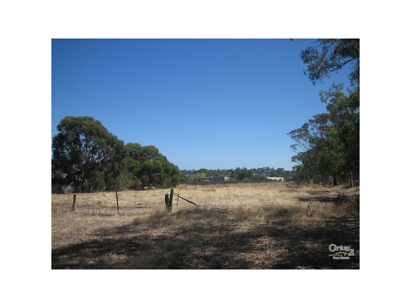 19 Radnor Street, Morphett Vale SA 5162