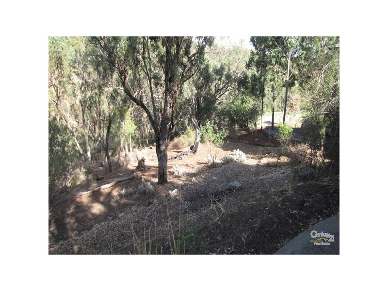 25 Argyll Walk, Bellevue Heights SA 5050