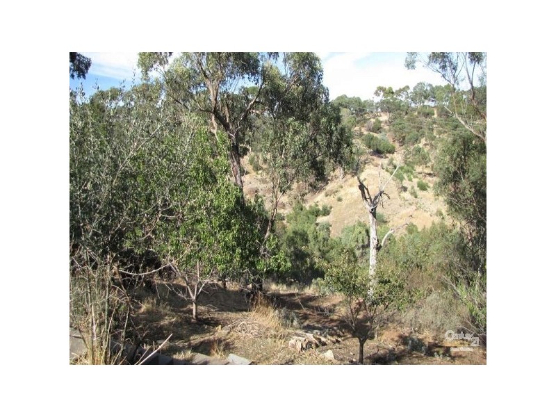 25 Argyll Walk, Bellevue Heights SA 5050