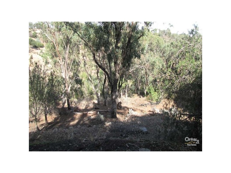 25 Argyll Walk, Bellevue Heights SA 5050