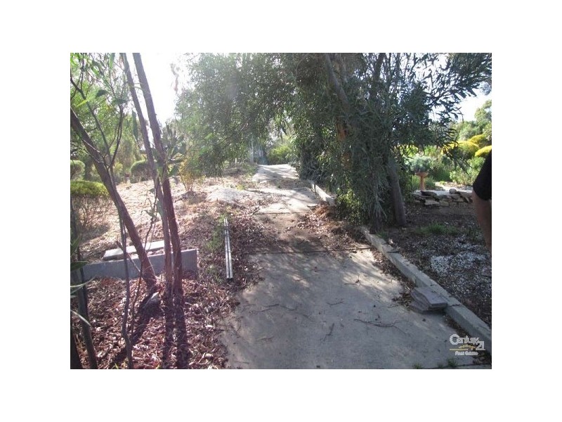 25 Argyll Walk, Bellevue Heights SA 5050