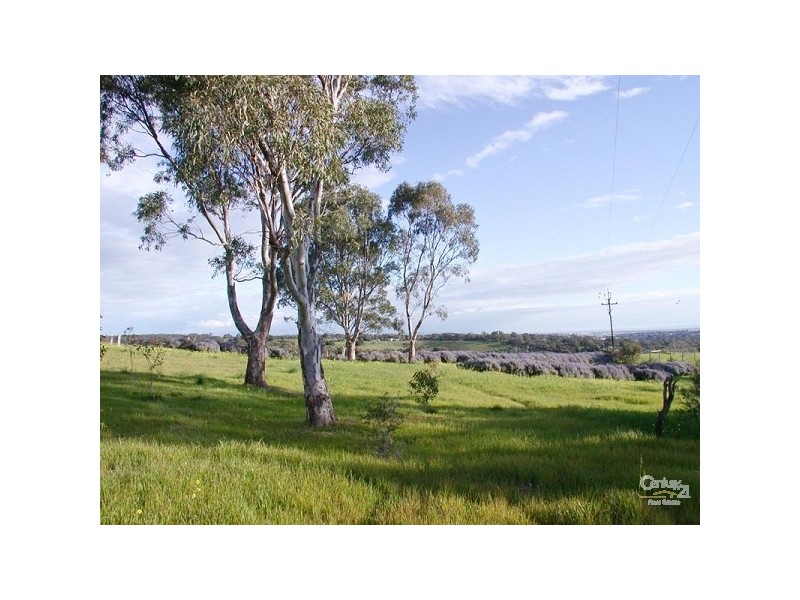 Lot 6 Coxs Hill Road, Onkaparinga Hills SA 5163
