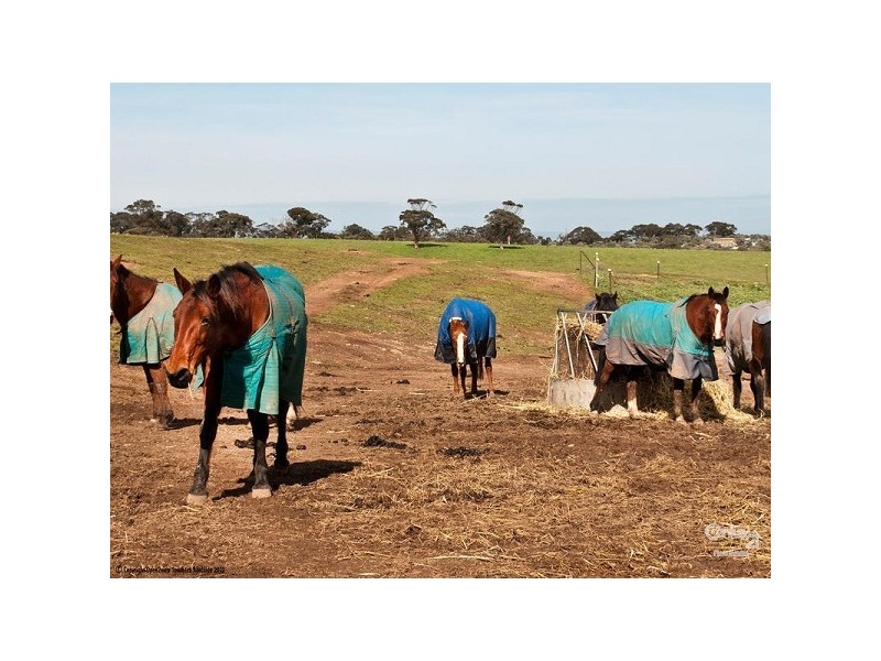 Lot 13 Kellys Road, Onkaparinga Hills SA 5163