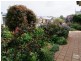12 Rose Court, Hackham SA 5163