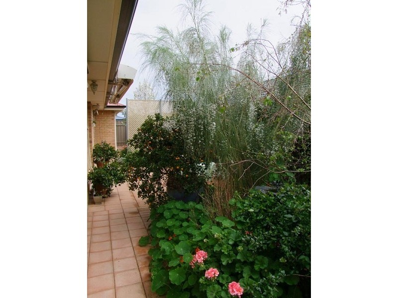 12 Rose Court, Hackham SA 5163