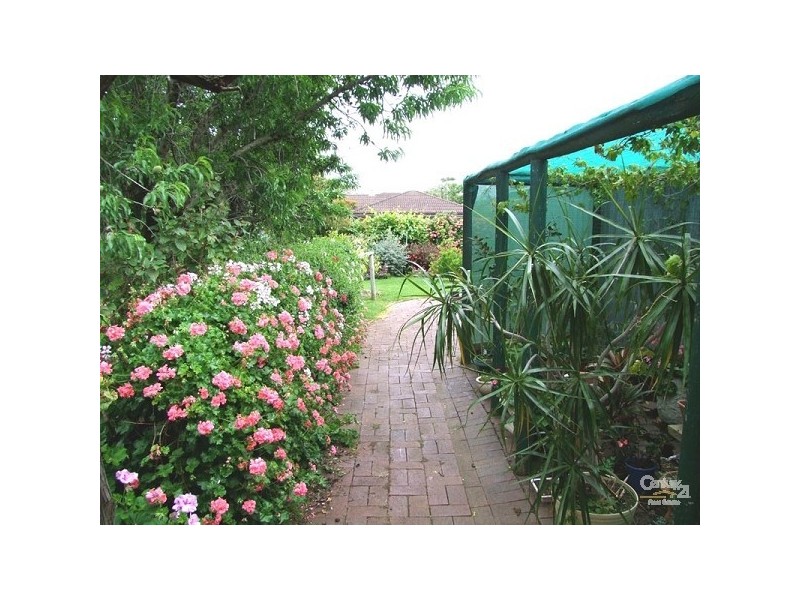 9 Briscoe Street, Port Noarlunga SA 5167