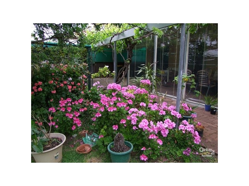 9 Briscoe Street, Port Noarlunga SA 5167