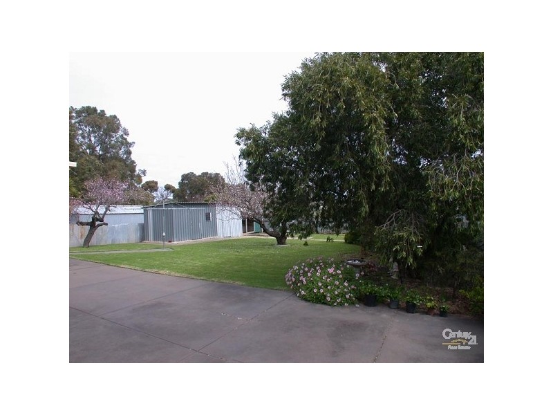 17 Gilbertson Avenue, Morphett Vale SA 5162