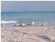 Lot 301 Anglesea Lane, Seaford Rise SA 5169
