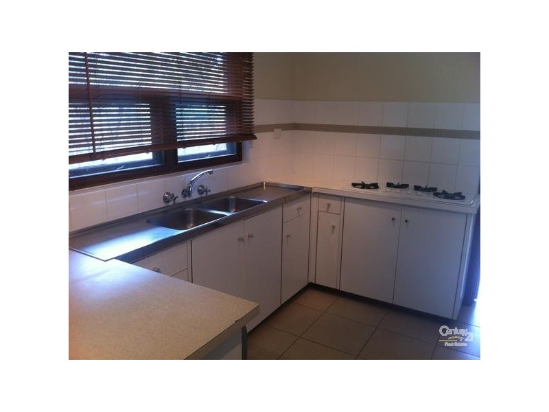 36 Catharina Street, Flagstaff Hill SA 5159