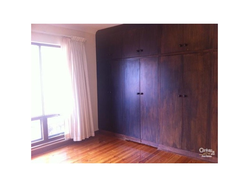 36 Catharina Street, Flagstaff Hill SA 5159