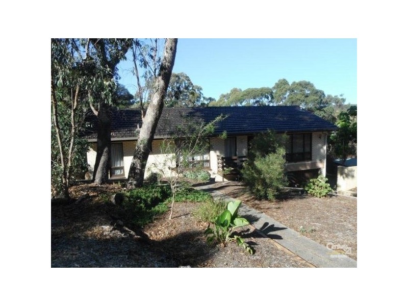 36 Catharina Street, Flagstaff Hill SA 5159