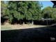 14 Regent Street, Morphett Vale SA 5162