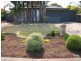 38 Concord Drive, Old Reynella SA 5161