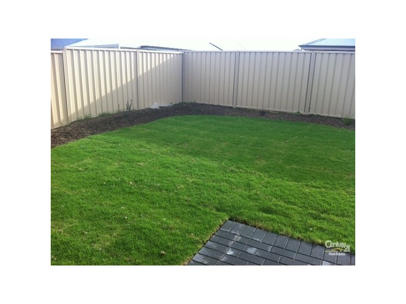 36 Bushtail Avenue, Aldinga Beach SA 5173
