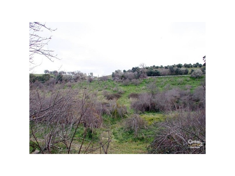 15 Appletree Lane Turners Gully Rd, Clarendon SA 5157