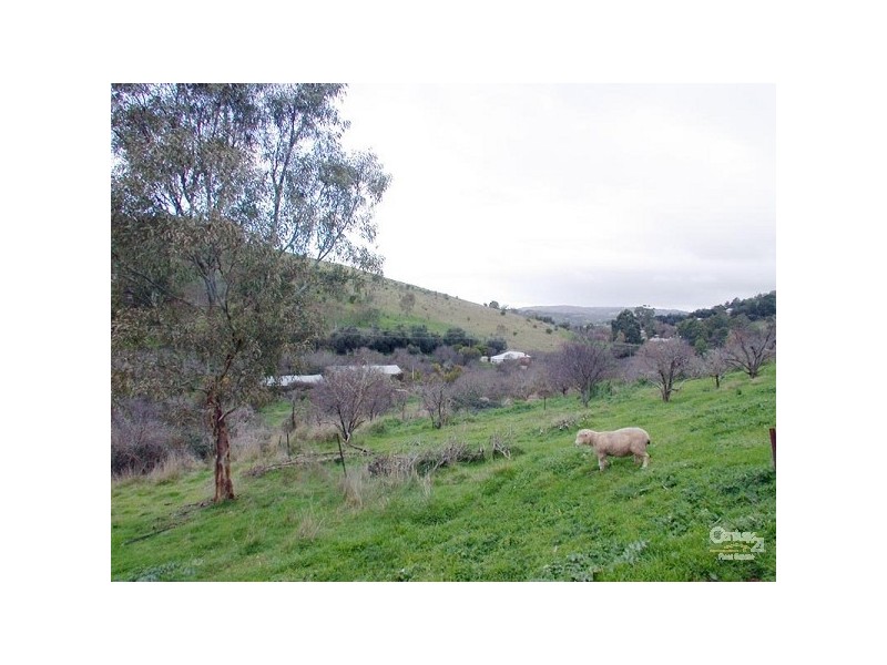 15 Appletree Lane Turners Gully Rd, Clarendon SA 5157