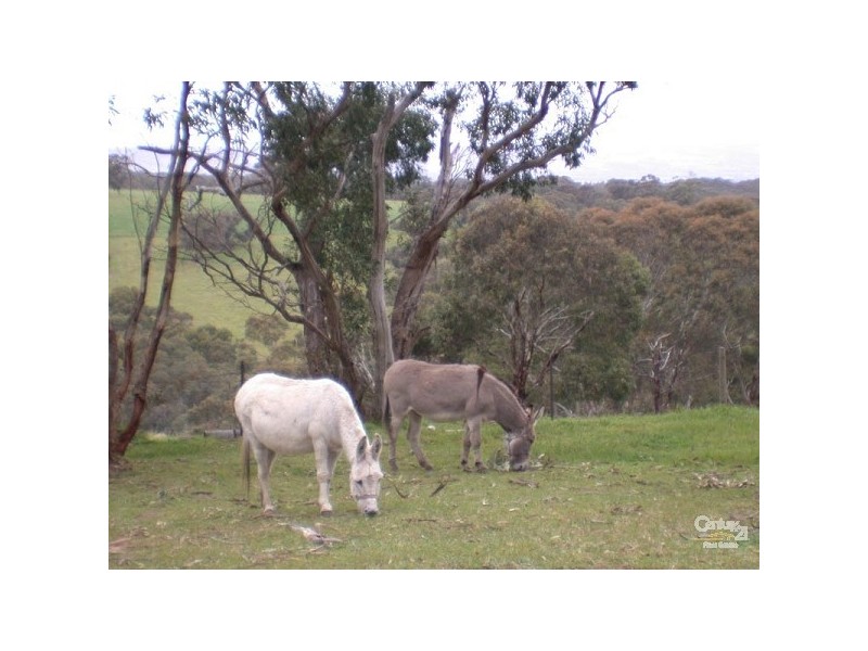 304 Cox s Hill Rd, Onkaparinga Hills SA 5163