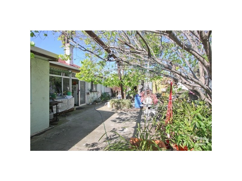 31 Hawson Avenue, North Plympton SA 5037