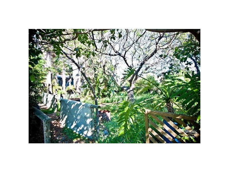 31 Hawson Avenue, North Plympton SA 5037