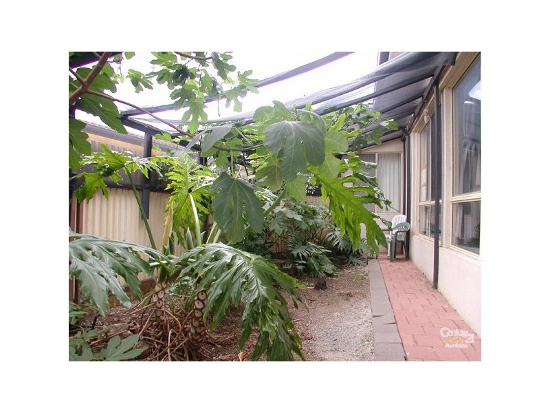 89 Acre Avenue, Morphett Vale SA 5162