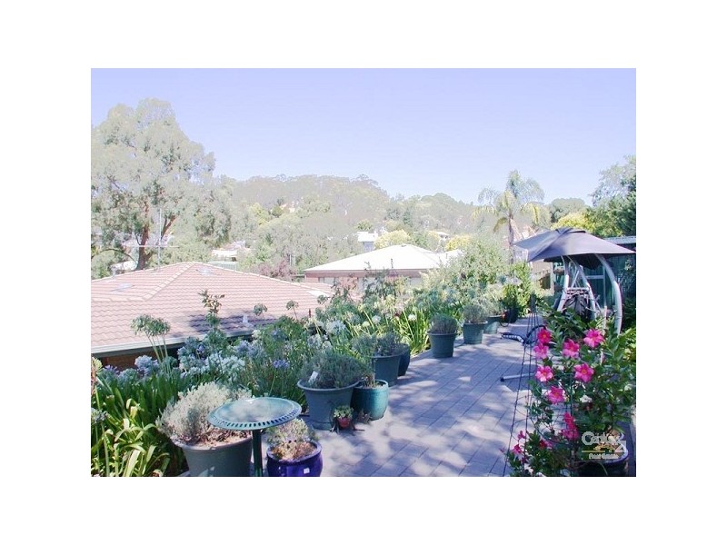 26 Mckenzie Street, Coromandel Valley SA 5051