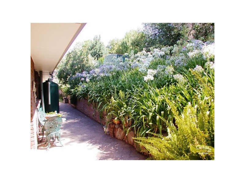 26 Mckenzie Street, Coromandel Valley SA 5051