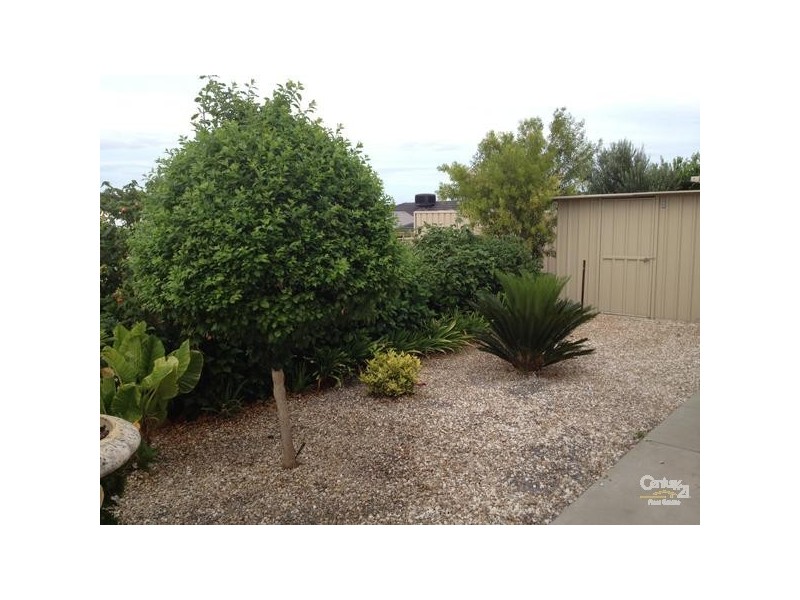 8 Hartland Avenue, Christie Downs SA 5164