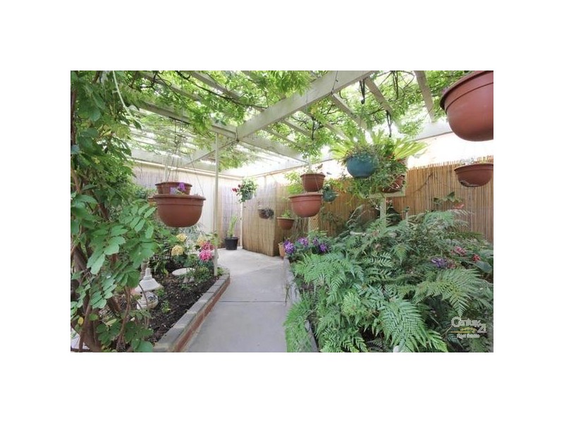 26 Cuttle St, Aldinga Beach SA 5173